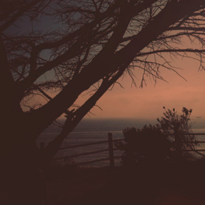 不要肉丝袜胸不要
