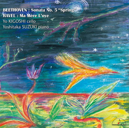 不要肉丝袜胸不要
